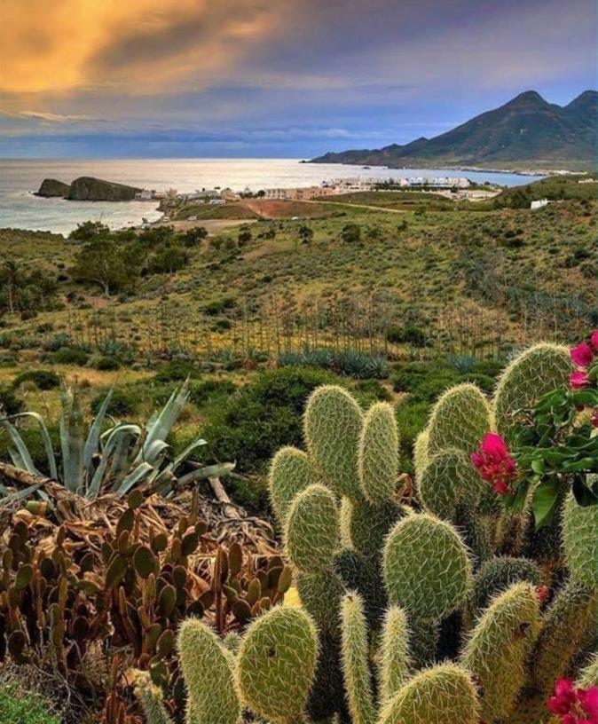 Bungalows & Estudios Los Escullos Альмерия Экстерьер фото